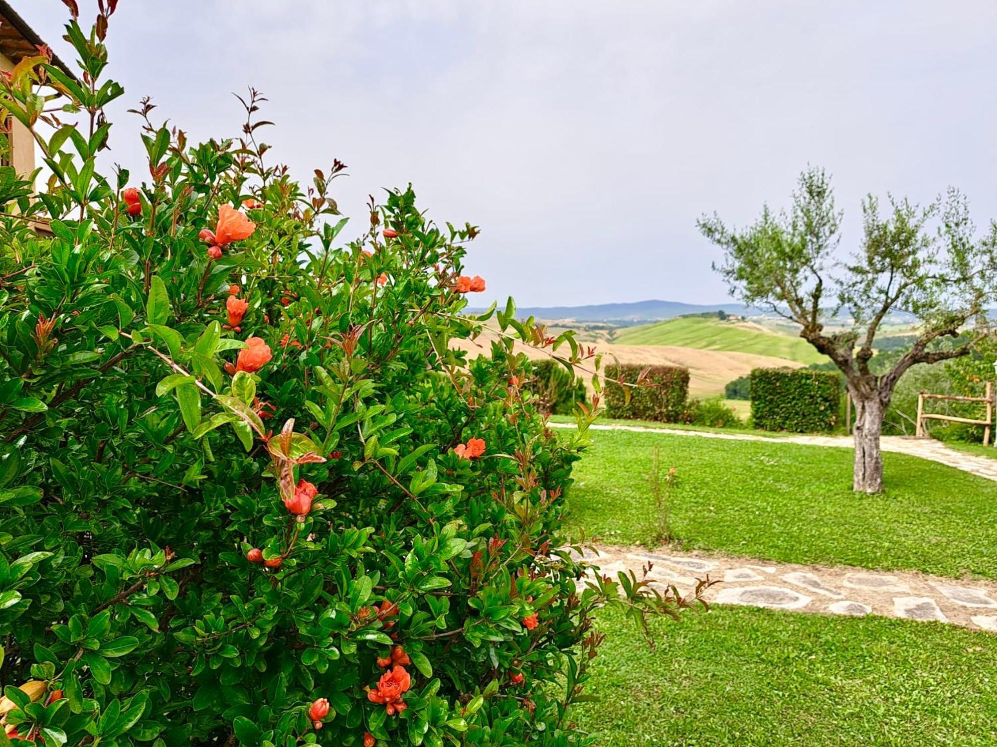 Caliano Farm stay Asciano