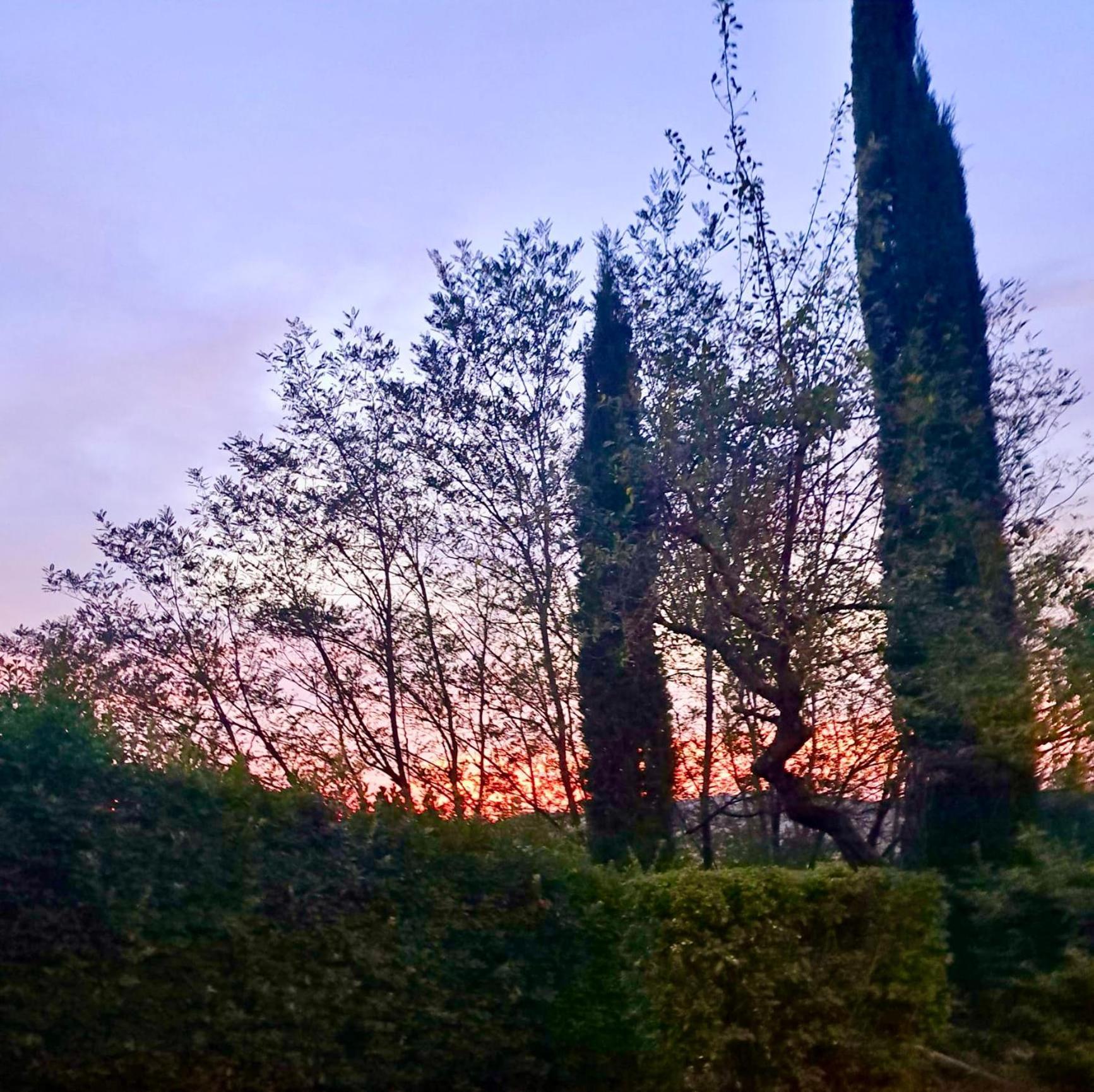 Caliano Farm stay