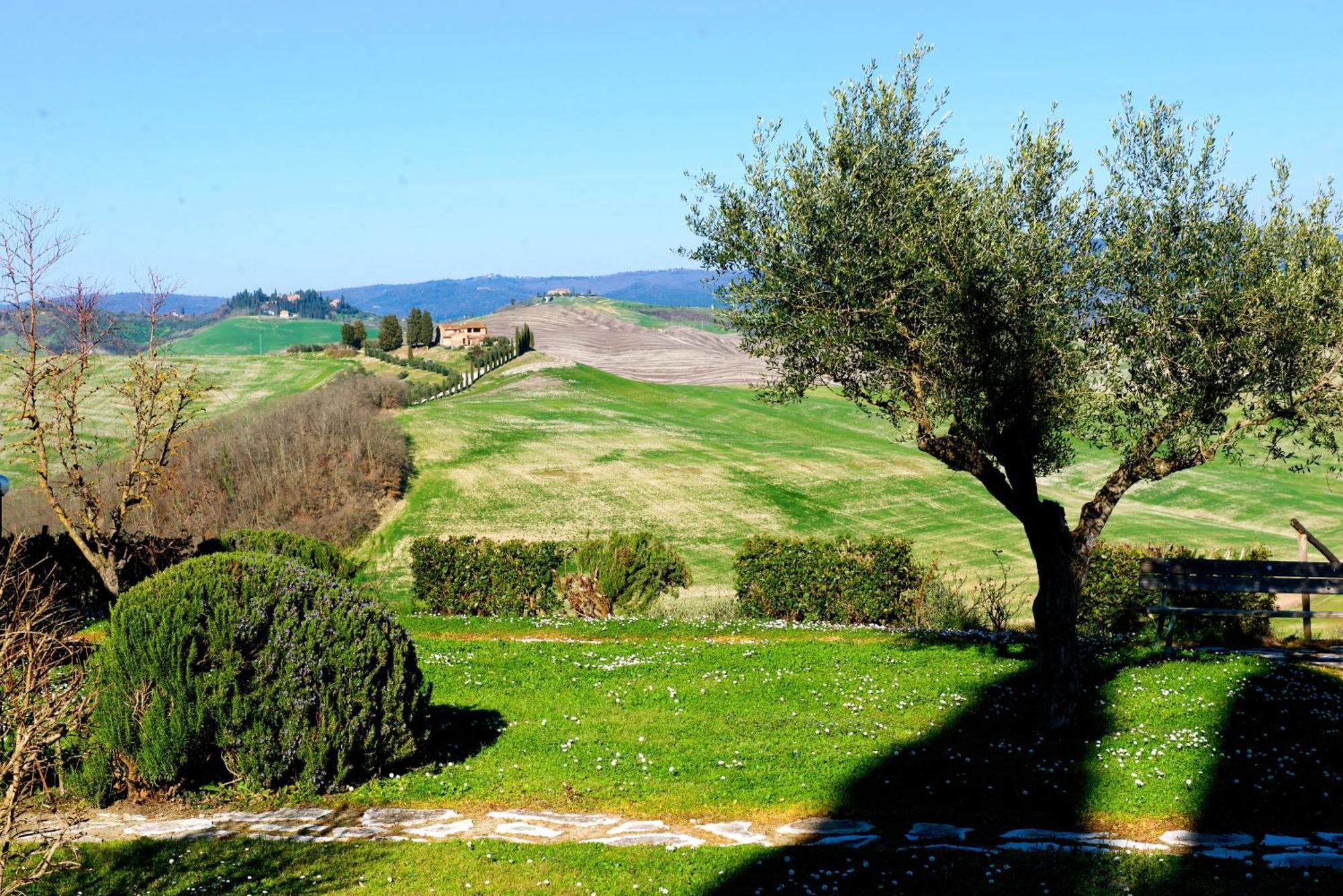 Caliano Asciano